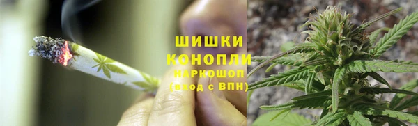 трава Дмитров
