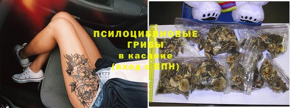 трава Дмитров